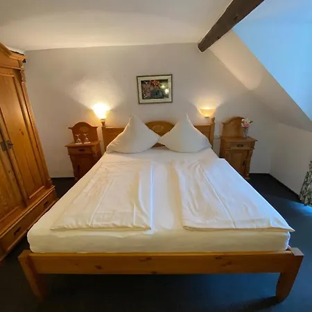 赫尔洛尼米酒店 科赫姆